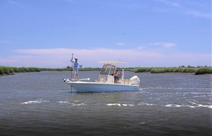 Scout 231 XSS photo 51