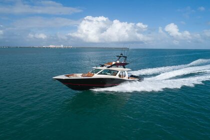 Scout 530 LXF photo 75