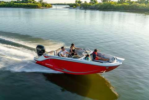 Bayliner Element M19