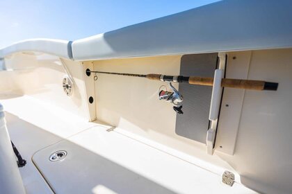 Scout 260 LXF photo 11
