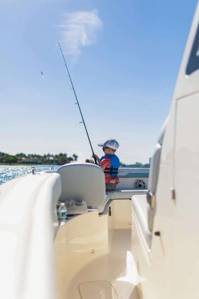 Scout 260 LXF photo 20
