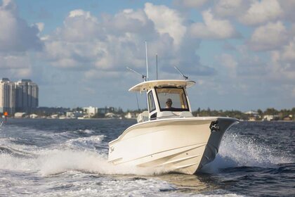 Scout 260 LXF photo 23