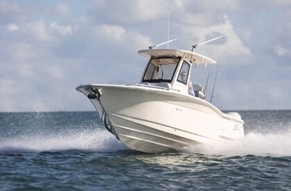 Scout 260 LXF photo 25