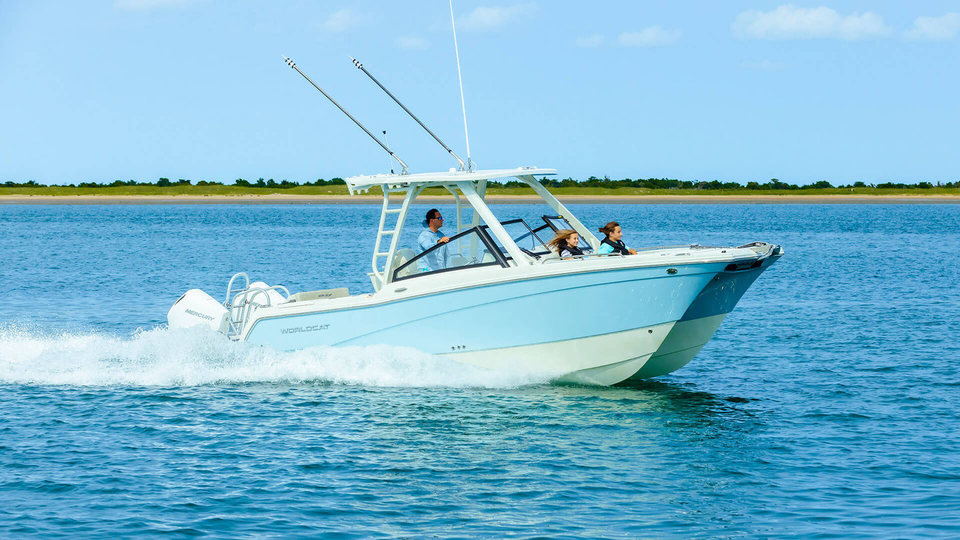 World Cat 265DC-X photo 1