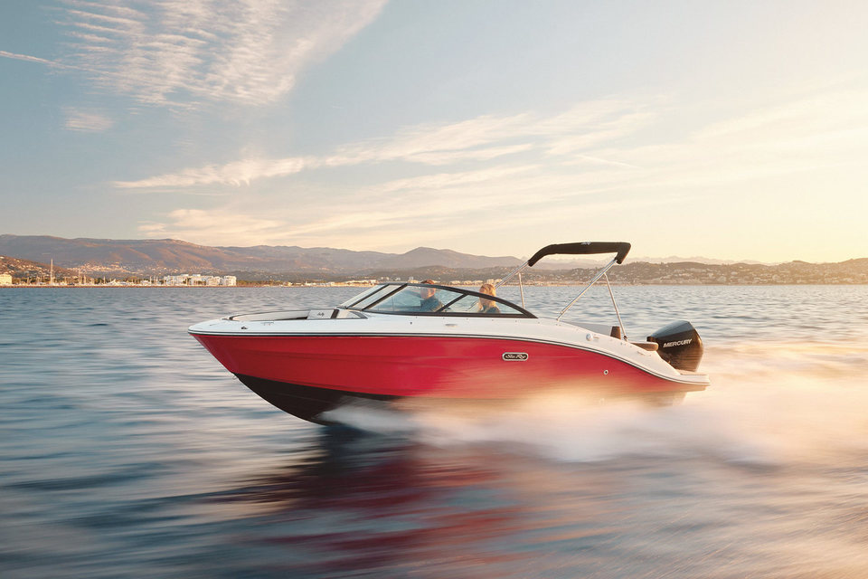 Sea Ray SPX 210 Outboard photo 1