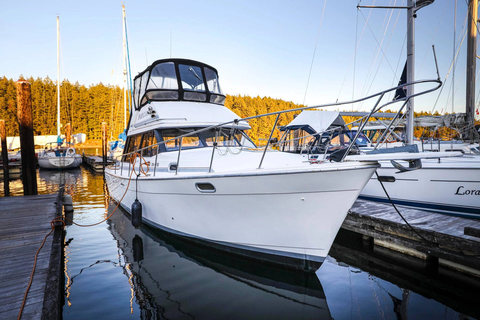 Bayliner 3288