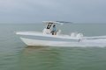World Cat 235TE photo 3
