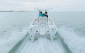 World Cat 235TE photo 4