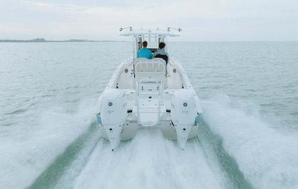 World Cat 235TE photo 4