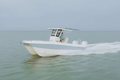 World Cat 235TE photo 5