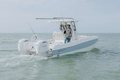 World Cat 235TE photo 6