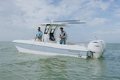 World Cat 235TE photo 8