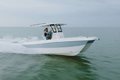 World Cat 235TE photo 22