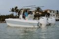 World Cat 235TE photo 26
