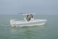 World Cat 235TE photo 28