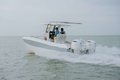 World Cat 235TE photo 31
