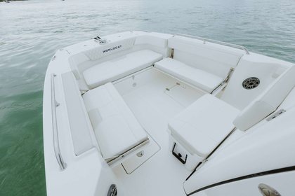 World Cat 235TE photo 32