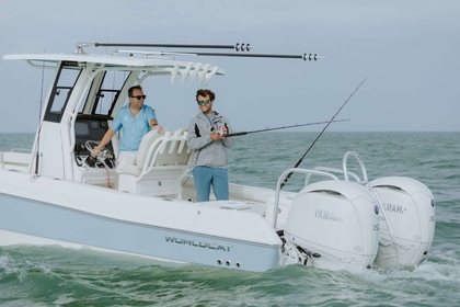 World Cat 235TE photo 33