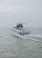 World Cat 235TE photo 37