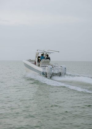 World Cat 235TE photo 37