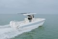 World Cat 235TE photo 39