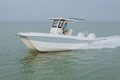 World Cat 235TE photo 40
