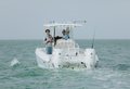 World Cat 235TE photo 44