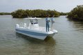 World Cat 235TE photo 48