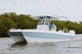 World Cat 235TE photo 49