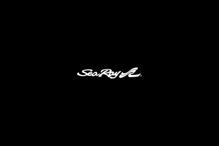 Sea Ray SDX 230 Outboard