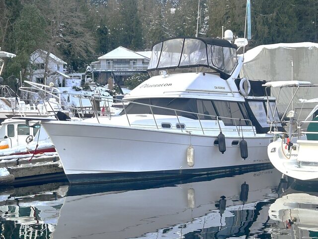 Bayliner 3288