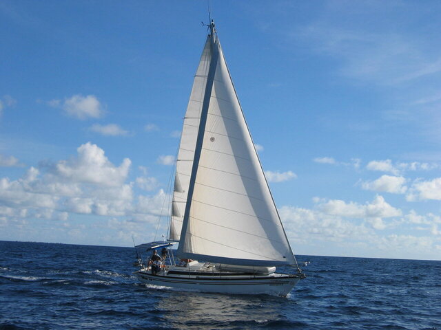 SV Tifon IV/ 1982 Dufour 4800