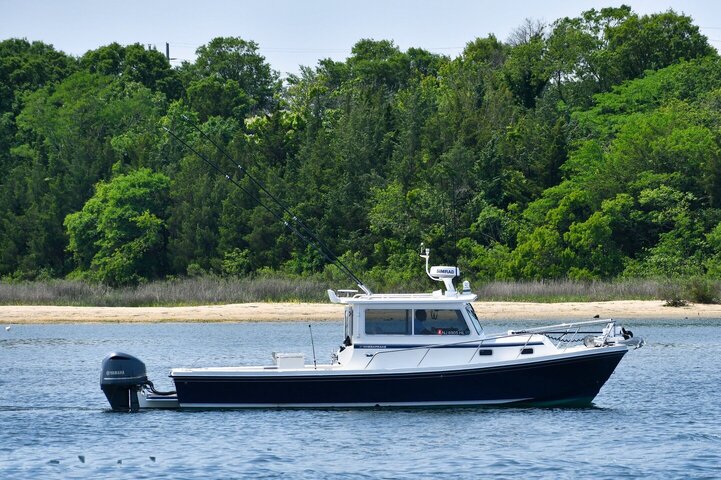 Steiger Craft 31 Chesapeake